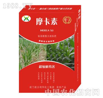 ������ˎ������������Һ�ķ�-Ħ����-��(qi��ng)о���H