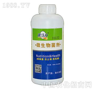 ΢�������-���R��-��