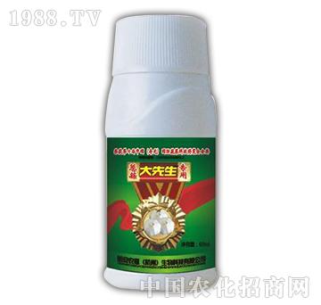 大先生瓶-新安農(nóng)道