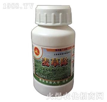 ���ݳ�-�G��