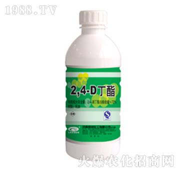 72%2��4�ζ���-�G��