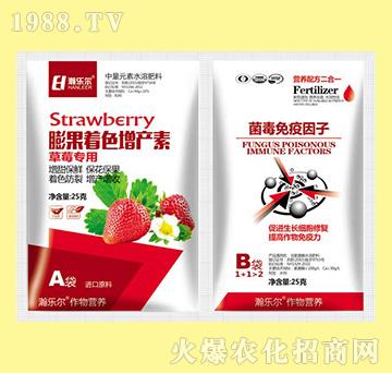 �����ɫ���a��+������������-嫘���