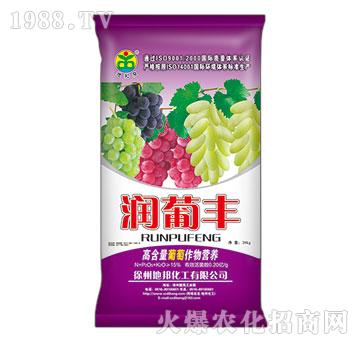 �����S-�ذ�Ȫ