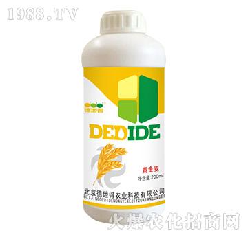 黃金麥專(zhuān)用-德地得