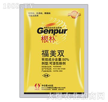 50%�����p-����-�A�̻���