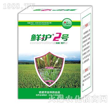 鮮護(hù)2號-銘越