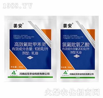 姜安-遠見農業(yè)