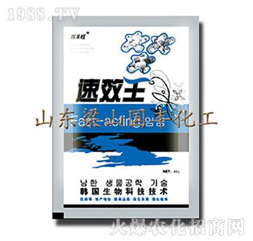 速效王-梁山國豐