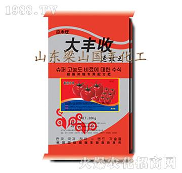 番茄專用-大豐收-梁山國豐