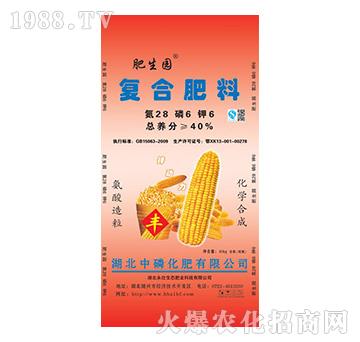 復合肥料28-6-6-肥生園-中磷化肥