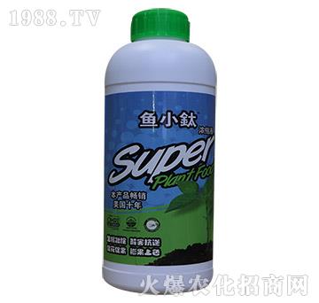 �~(y��)����-�~(y��)С�-���º���