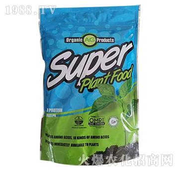 �~(y��)����-�~(y��)С�-���º���