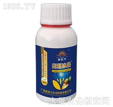 蚯蚓冰晶-新啟力