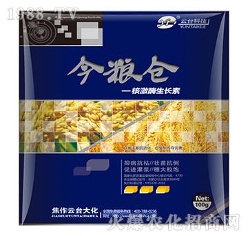 核激酶生長(zhǎng)素-金糧倉(cāng)-云臺(tái)大化