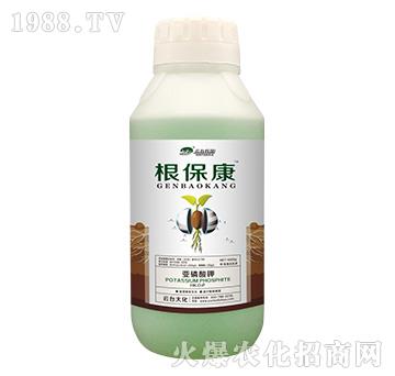 1000g根?？?云臺大化