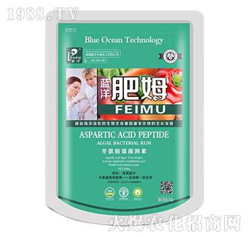 藍洋肥姆-云臺大化