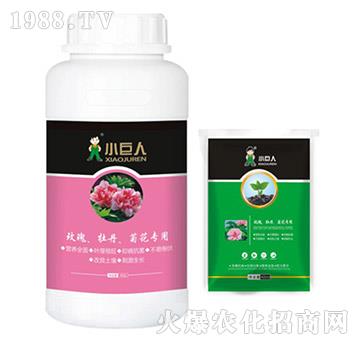 玫瑰、牡丹、菊花專用調(diào)節(jié)劑-小巨人