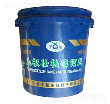 生根壯秧磷鈣王-千越生物