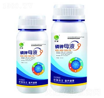 ���ĸҺ00-400-500+TE-�~��