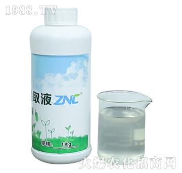 ZNC��N������-�����