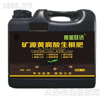 礦源黃腐酸生根肥-黑金旺達-復寶作物