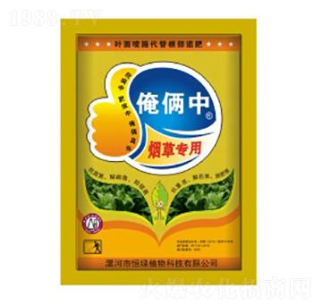 煙草專用-俺倆中-恒綠植物