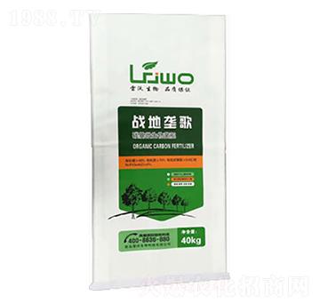 ��(zh��n)�؉Ÿ�-��������