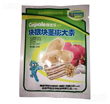 �K���o�����-�ڼј�-��������