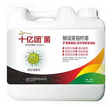 ���ѿ�ߗU��-ʮ�|�F(tu��n)��-�����Ƽ�