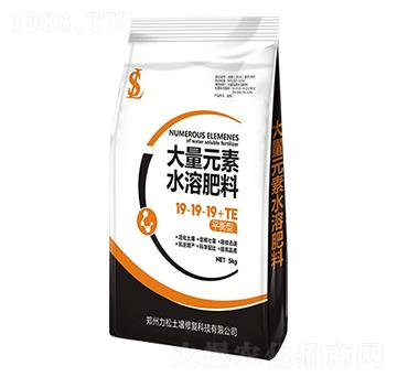 ����Ԫ��ˮ�ܷ�19-19-19+TE��ƽ���ͣ�-����