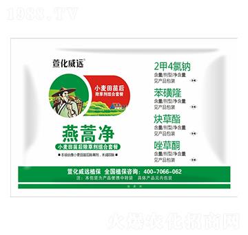 小麥田苗后除草劑組合套餐-燕蒿凈-萱化威遠(yuǎn)