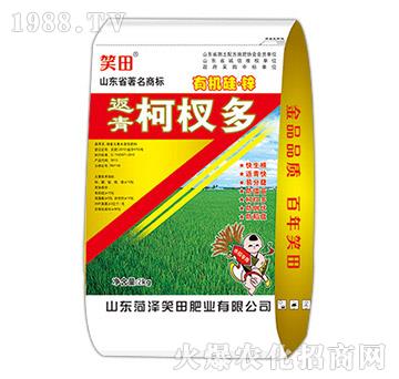 �����辶�-Ц��