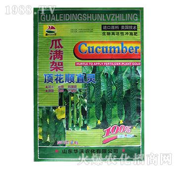 頂花順直靈-瓜滿架-華沃農(nóng)化