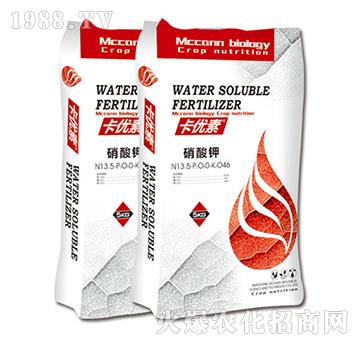 ����(y��u)�������-��������