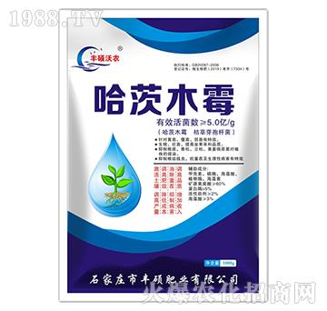 ����ľù-�S�T�ʘI(y��)