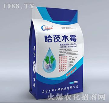 ����ľù-�S�T���r(n��ng)