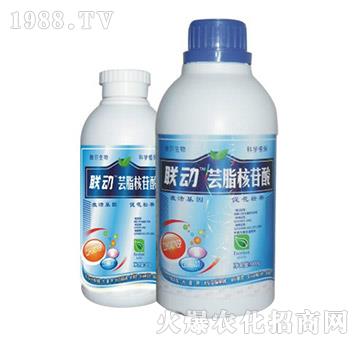 蕓脂核苷酸-聯(lián)動(dòng)-德?tīng)柹? />
</div>
</div>
<style type=