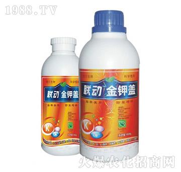 金鉀蓋-聯(lián)動(dòng)-德?tīng)柹? />
                                </div>
                            </div>
                            
                            <style type=