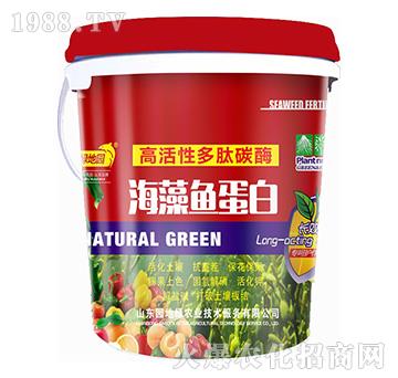 �����~����-�@�ؾG