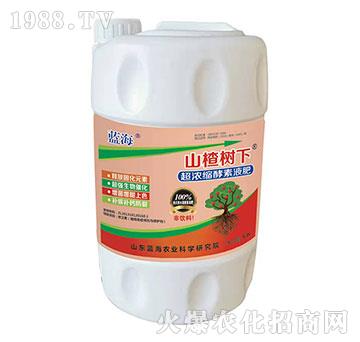 ����s����Һ��-ɽ高���-�{(l��n)��