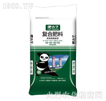 海藻腐殖酸型復(fù)合肥料18-18-18+TE-肥太子