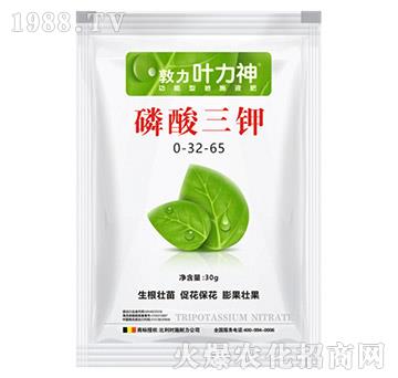 �������0-32-65-ʩ����