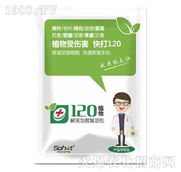 解害急救復(fù)活包-植物120-升華永樂(lè)