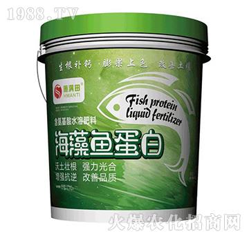 含氨基酸水溶肥料-海藻魚(yú)蛋白-施滿田