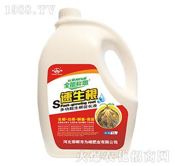 ������-ȫ���ֶ�-���