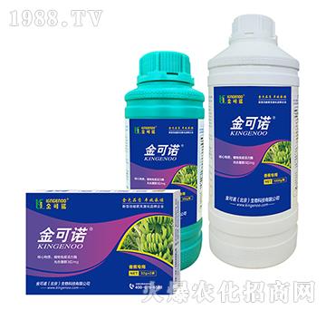 香蕉專用-金可諾