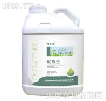 促根生-艷魯豐-宏達(dá)生物