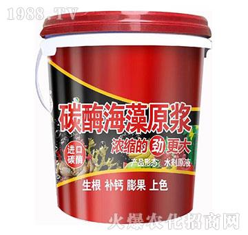碳酶海藻原漿-田園季豐-大豐肥業(yè)