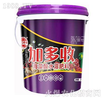 加多收-田園季豐-大豐肥業(yè)