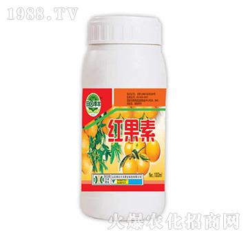 紅果素-田園季豐-大豐肥業(yè)